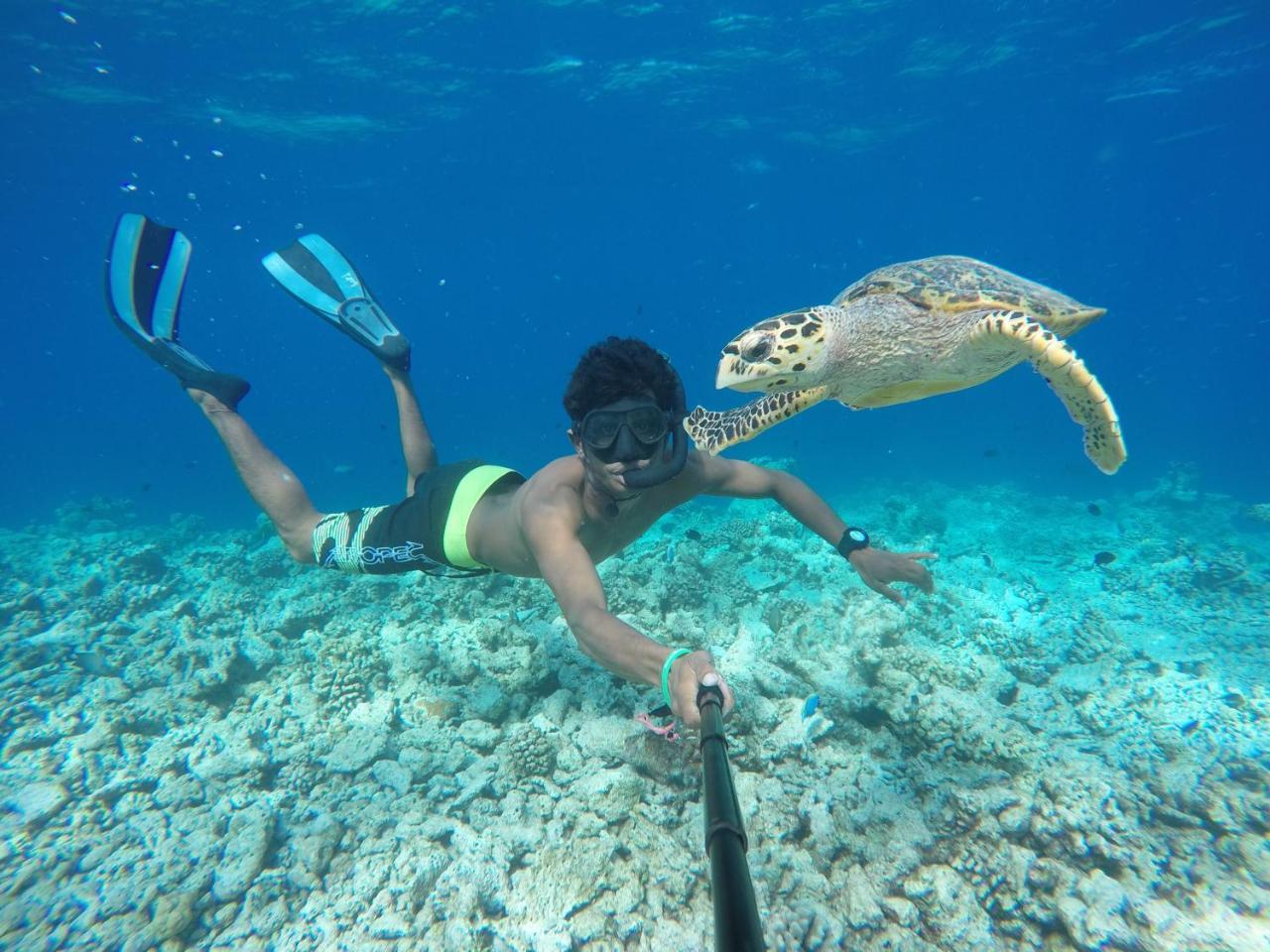 Koimala Beach Ukulhas Eksteriør bilde