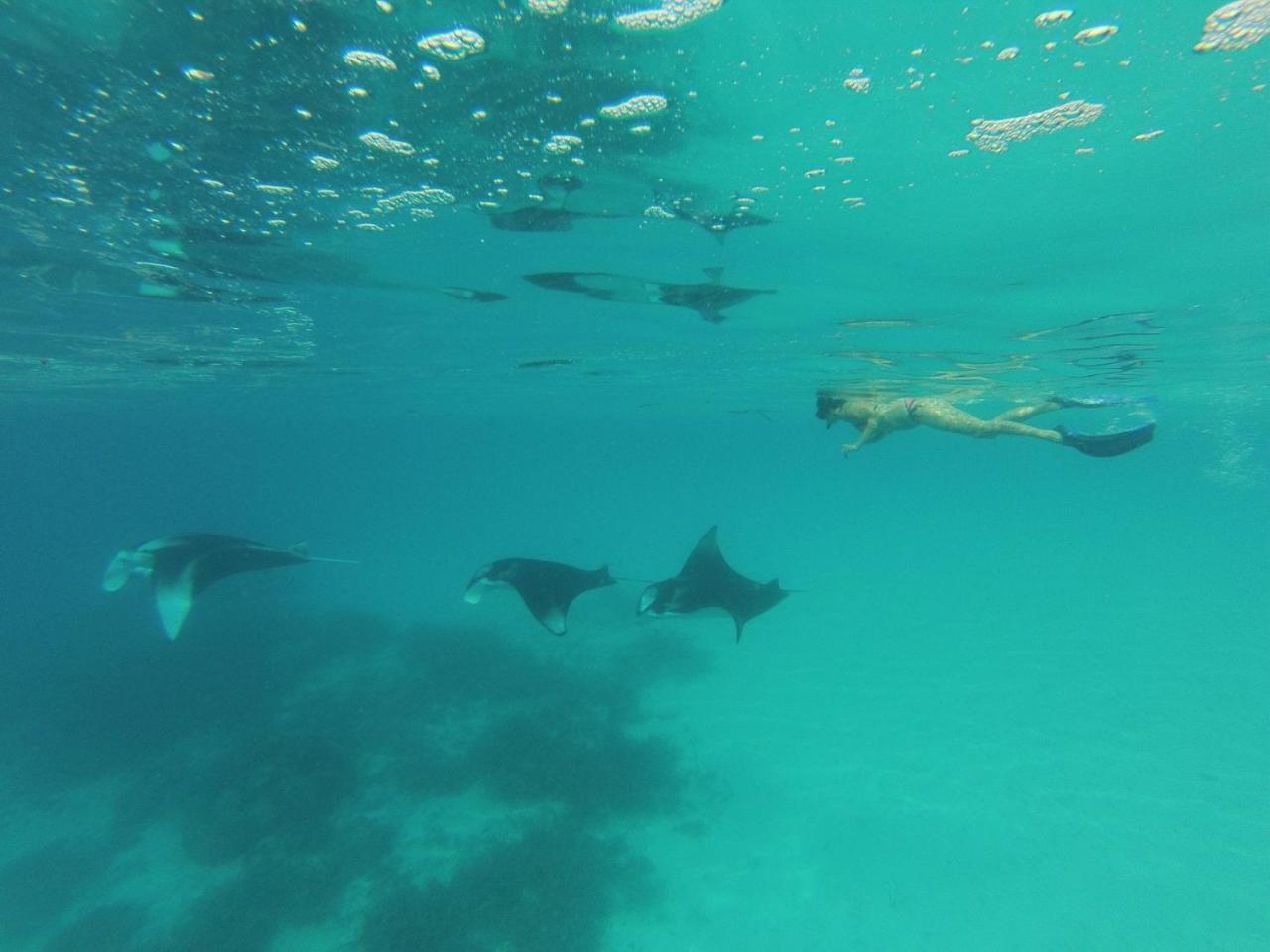 Koimala Beach Ukulhas Eksteriør bilde